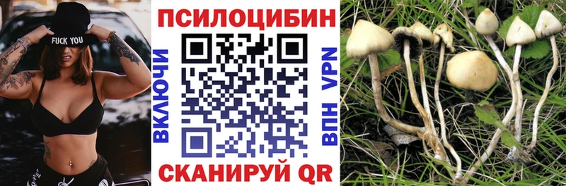 Галлюциногенные грибы Magic Shrooms  hydra tor  Орлов 